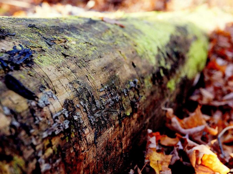 sudoku cognitive game screenshot 2