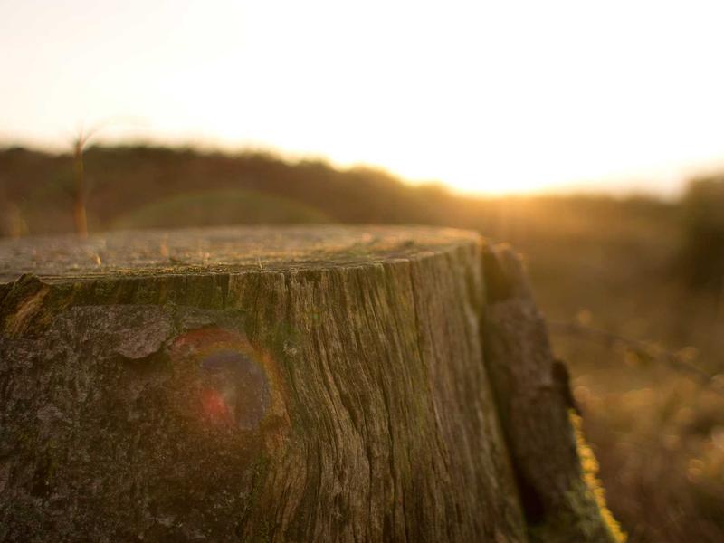 sudoku ad free version screenshot 3