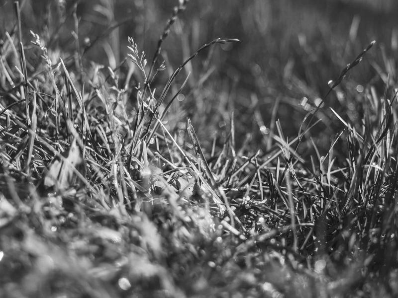 sudoku jigsaw puzzle screenshot 4